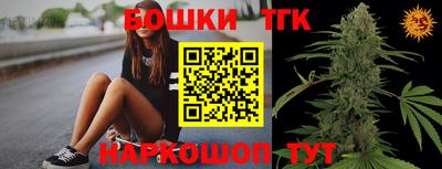 прущие грибы Сосновый Бор