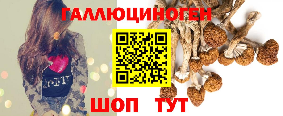 Псилоцибиновые грибы Magic Shrooms Кызыл