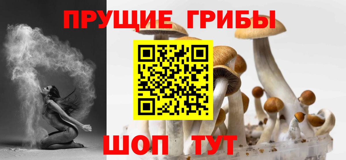 Кызыл  Псилоцибиновые грибы мухоморы  Вход с VPN 